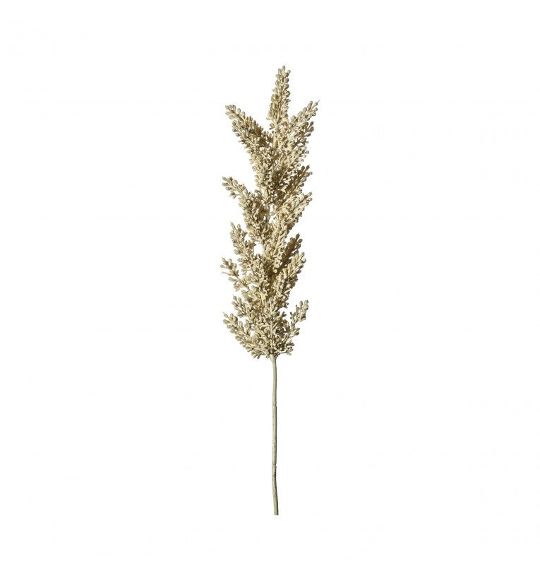 Set of 3 Graceful Blooms Astilbe Spray - Dry