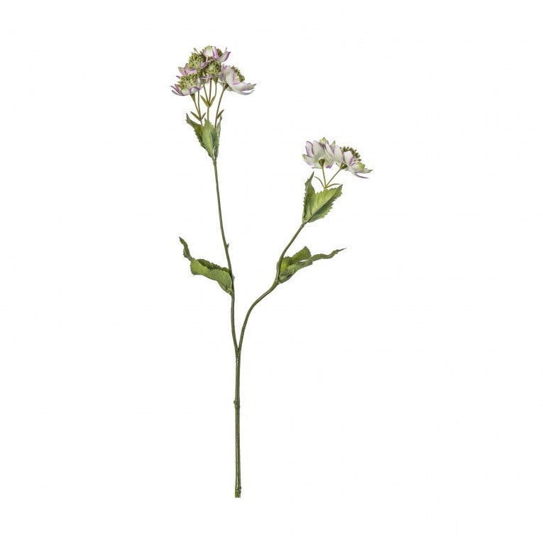 Set of 5 Graceful Blooms Astrantia Spray -Lilac