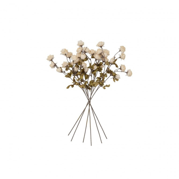 Set of 6 Graceful Dried Rose Spray - Ivory