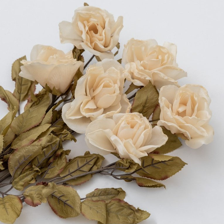 Set of 6 Graceful Dried Rose Stem - Ivory