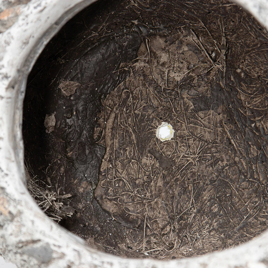 Stony Echidna Planter Hole & Plug - 40cms
