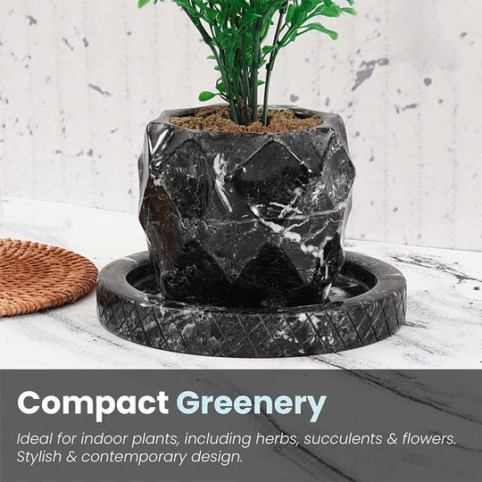 Tropical Pineapple Design Plant Pot 10cms - Black