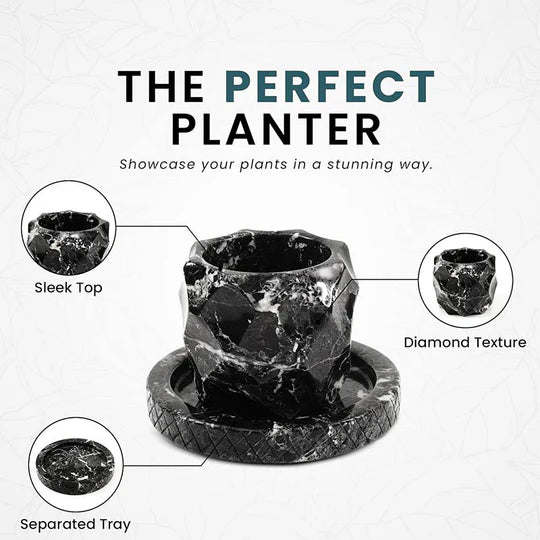 Tropical Pineapple Design Plant Pot 10cms - Black