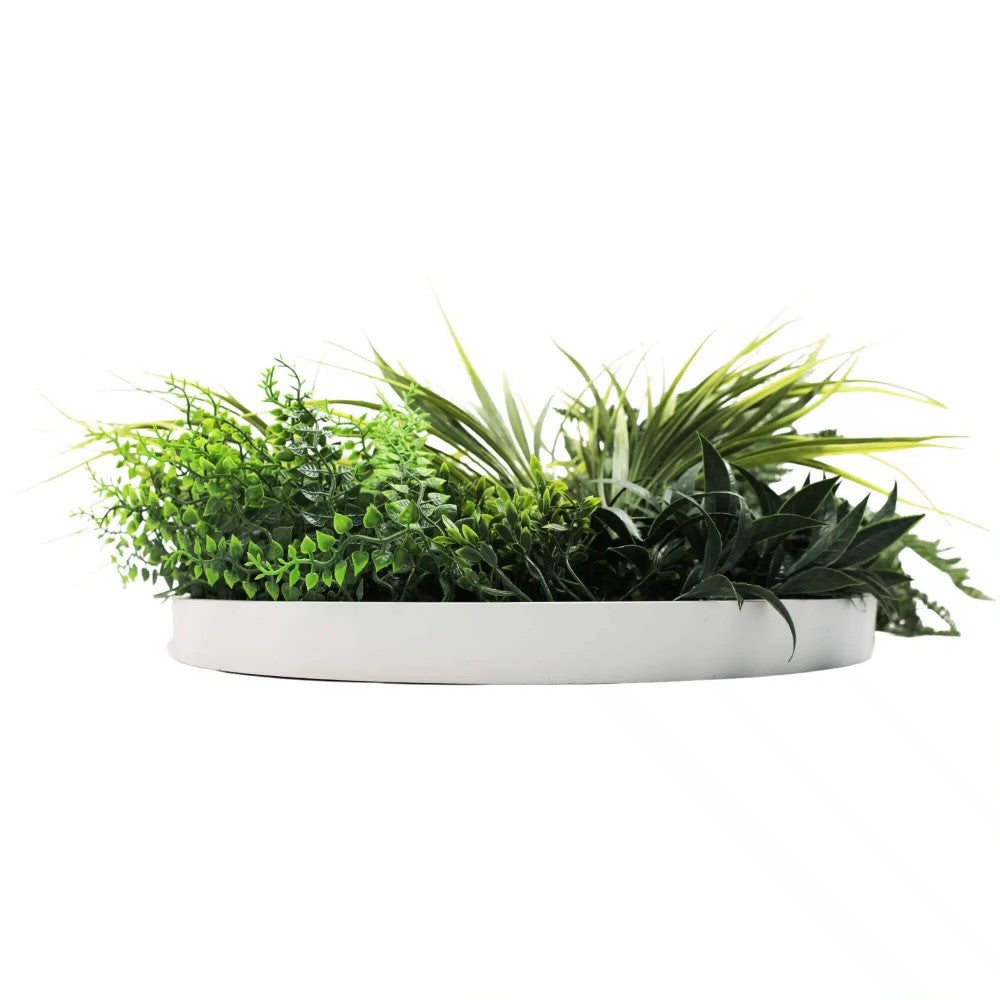 Verde Vortex Artificial Wall Disc 50cms