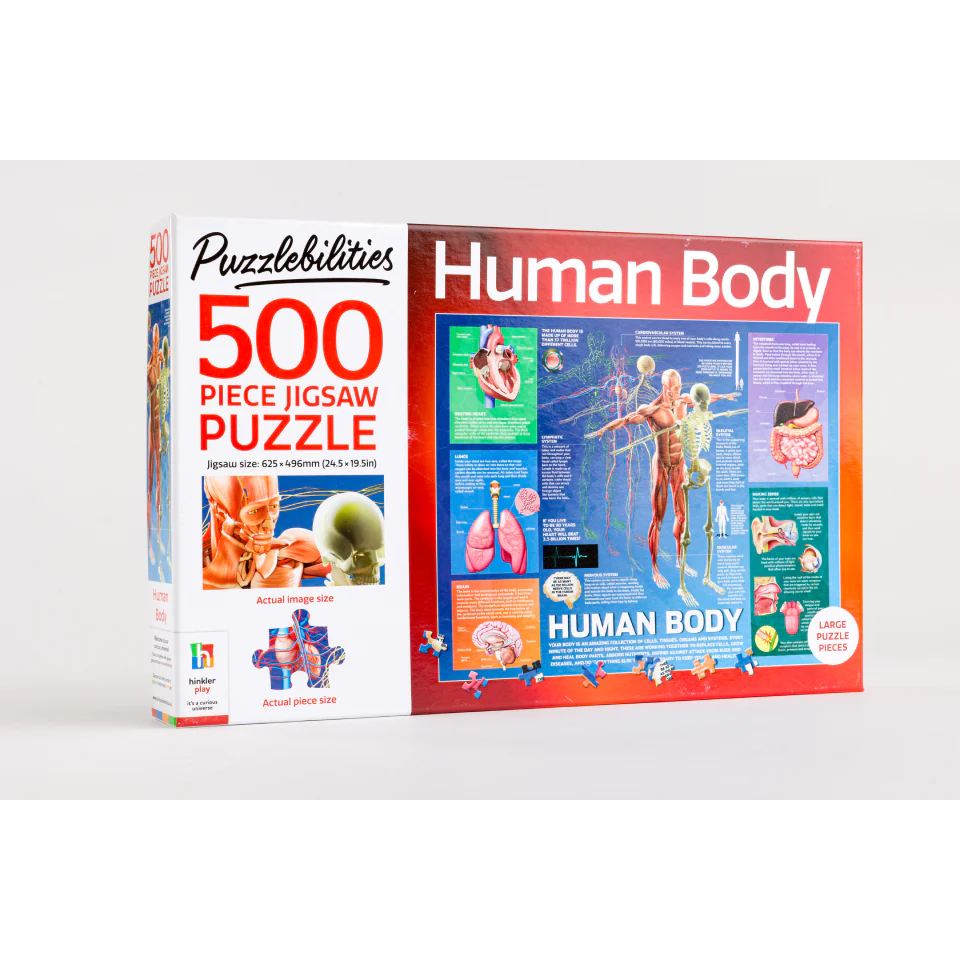 Human Body 500 Piece Jigsaw Puzzle