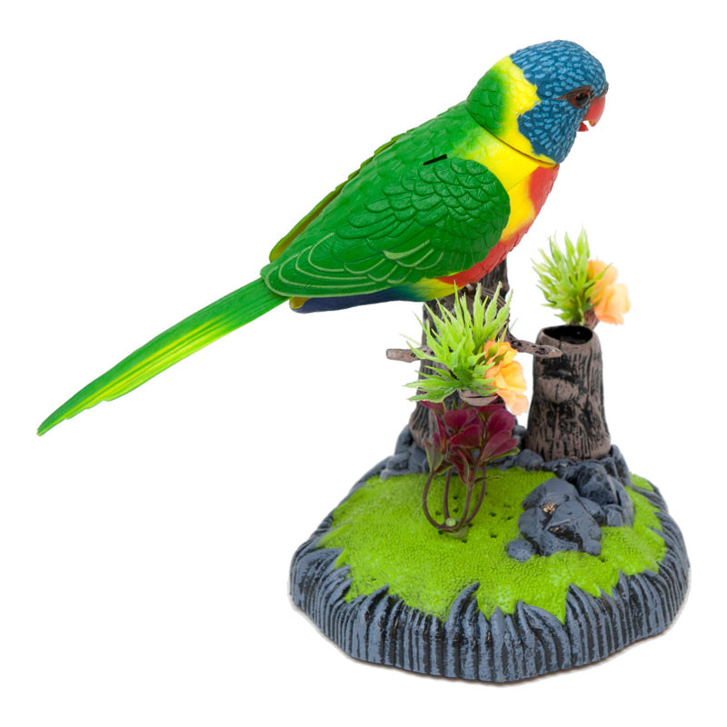 Sound Sensor Chirping Lorikeet