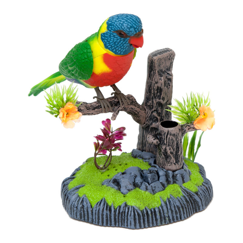 Sound Sensor Chirping Lorikeet