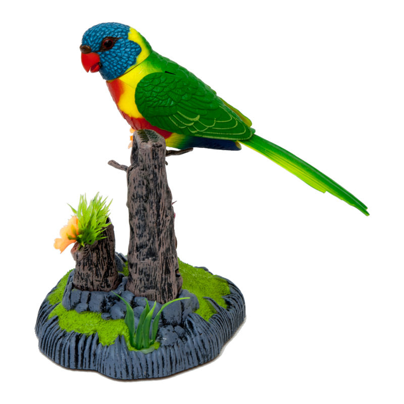 Sound Sensor Chirping Lorikeet