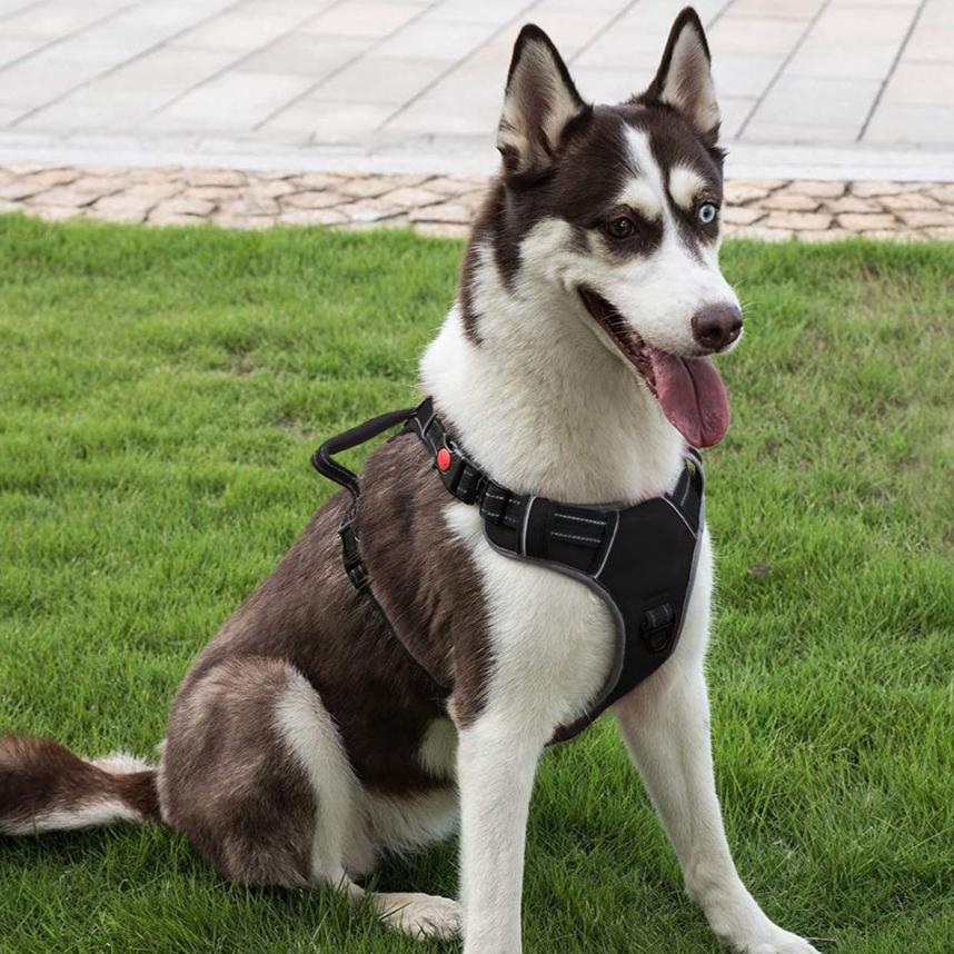 Heavy Duty Dog Harness Vest S Size (Black)
