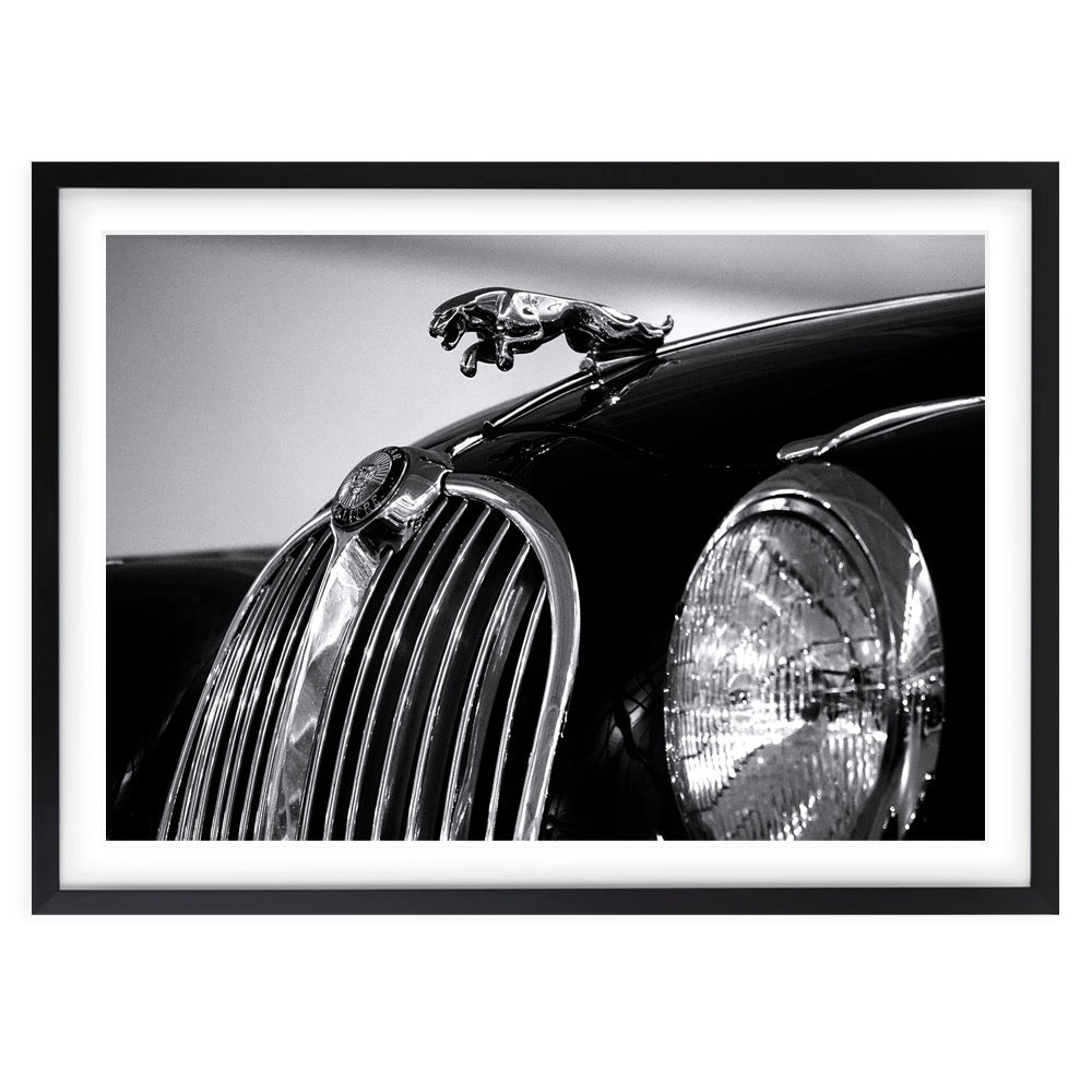 Jaguar 105cm x 81cm Framed A1 Art Print