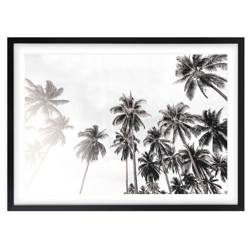 Monochrome Palm Trees 105cm x 81cm Framed A1 Art Print