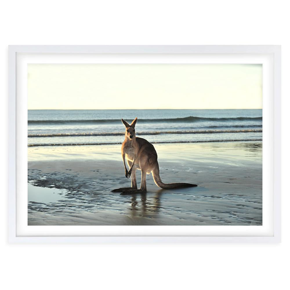 Kangaroo On Beach 105cm x 81cm Framed A1 Art Print